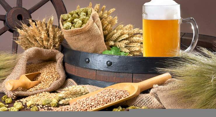 Deutschland feiert 500 JAHRE REINHEITSGEBOT für das Lieblingsgetränk (fast) aller Camper.