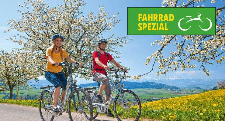 Fahrrad spezial: E-Bike-Basiswissen