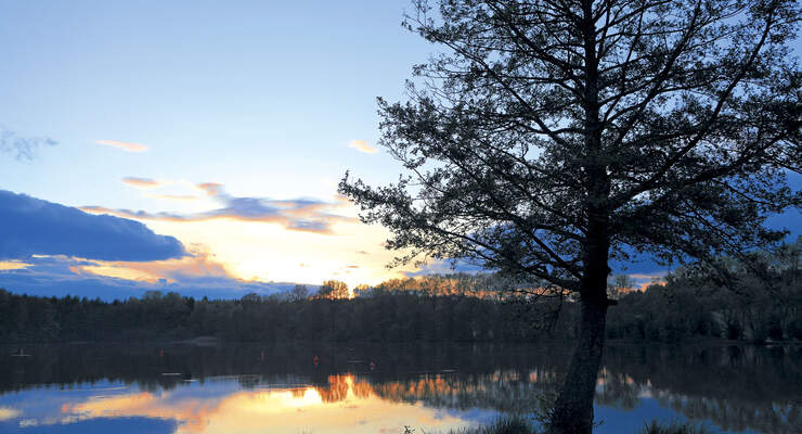 Mobil-Tour: Westerwald
