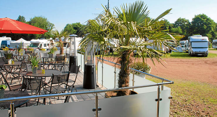 Stellplatz-Tipp: Xanten, Palme