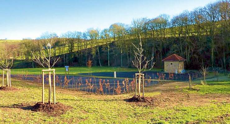 Stellplatz Waldgrehweiler