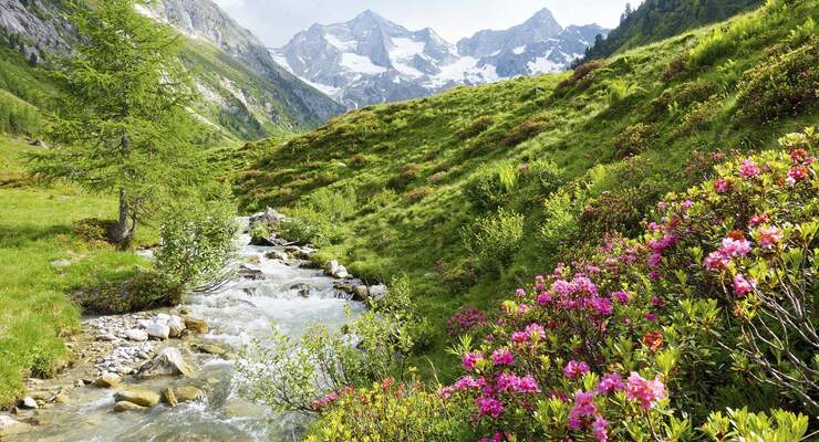 Viele Reisemobilisten schnüren ihre Stiefel und genießen die letzten warmen Sonnenstrahlen des Jahres im Freien.